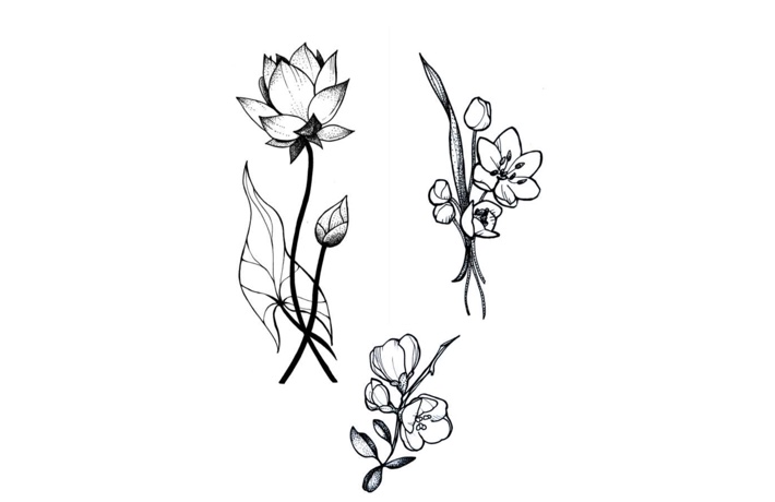 Montage de trois illustrations monochromes de fleurs, avec leur tige et leurs feuilles.