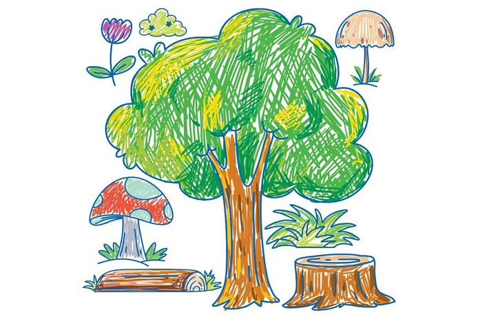 Illustration à feutres de végétaux de la forêt : arbre, plantes, champignons, etc.